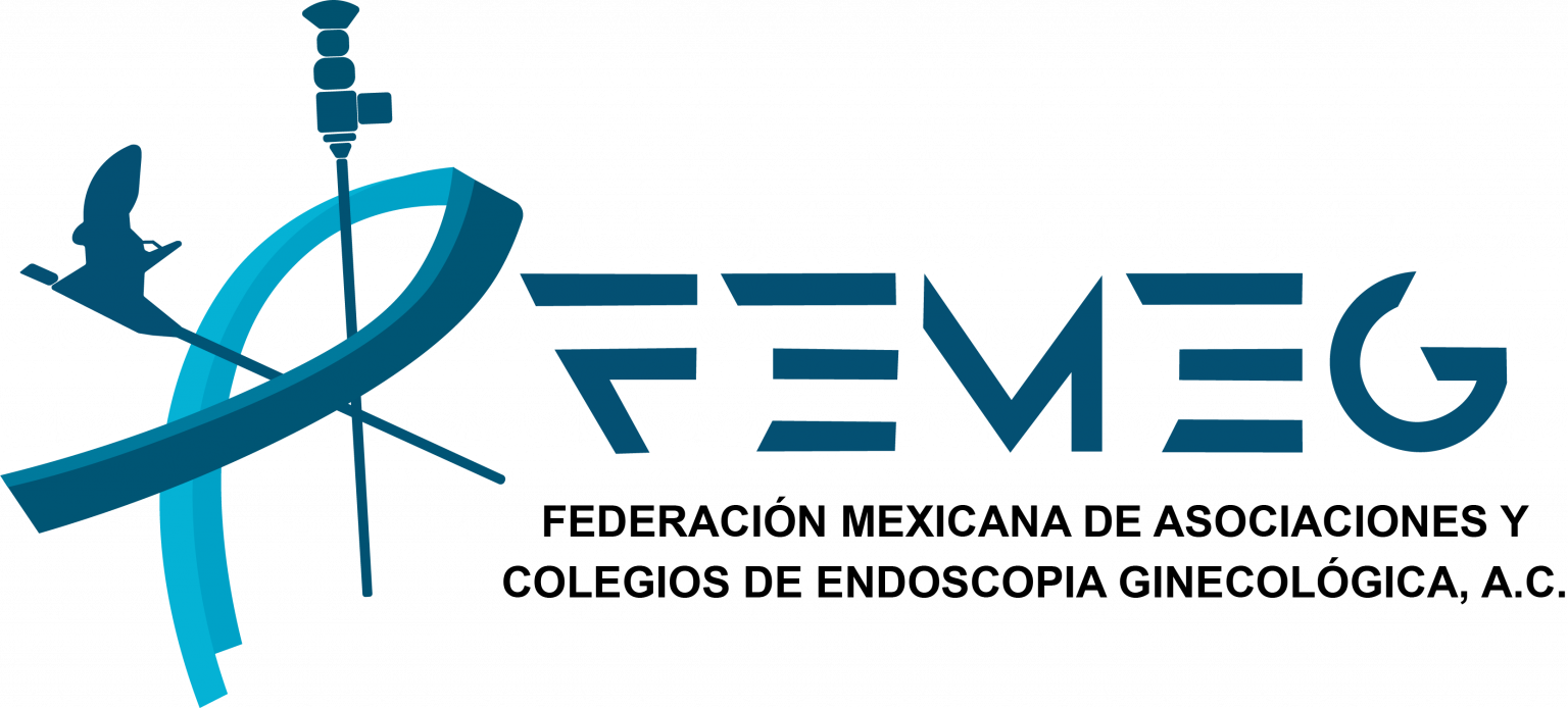 Logo FEMEG